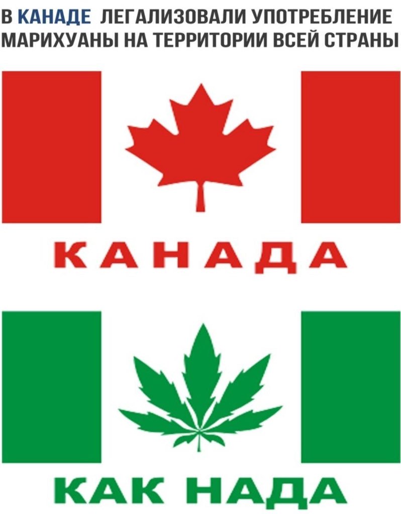 семена марихуаны в канаде