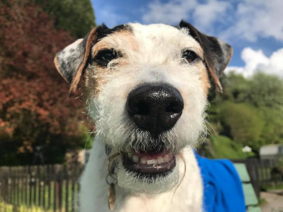 <a href="/Russbarr/">Russell Barry</a> <a href="/karen73984451/">karen</a> <a href="/pet031960/">Margaret Mc Vay</a> Woof woof back from Jake xx