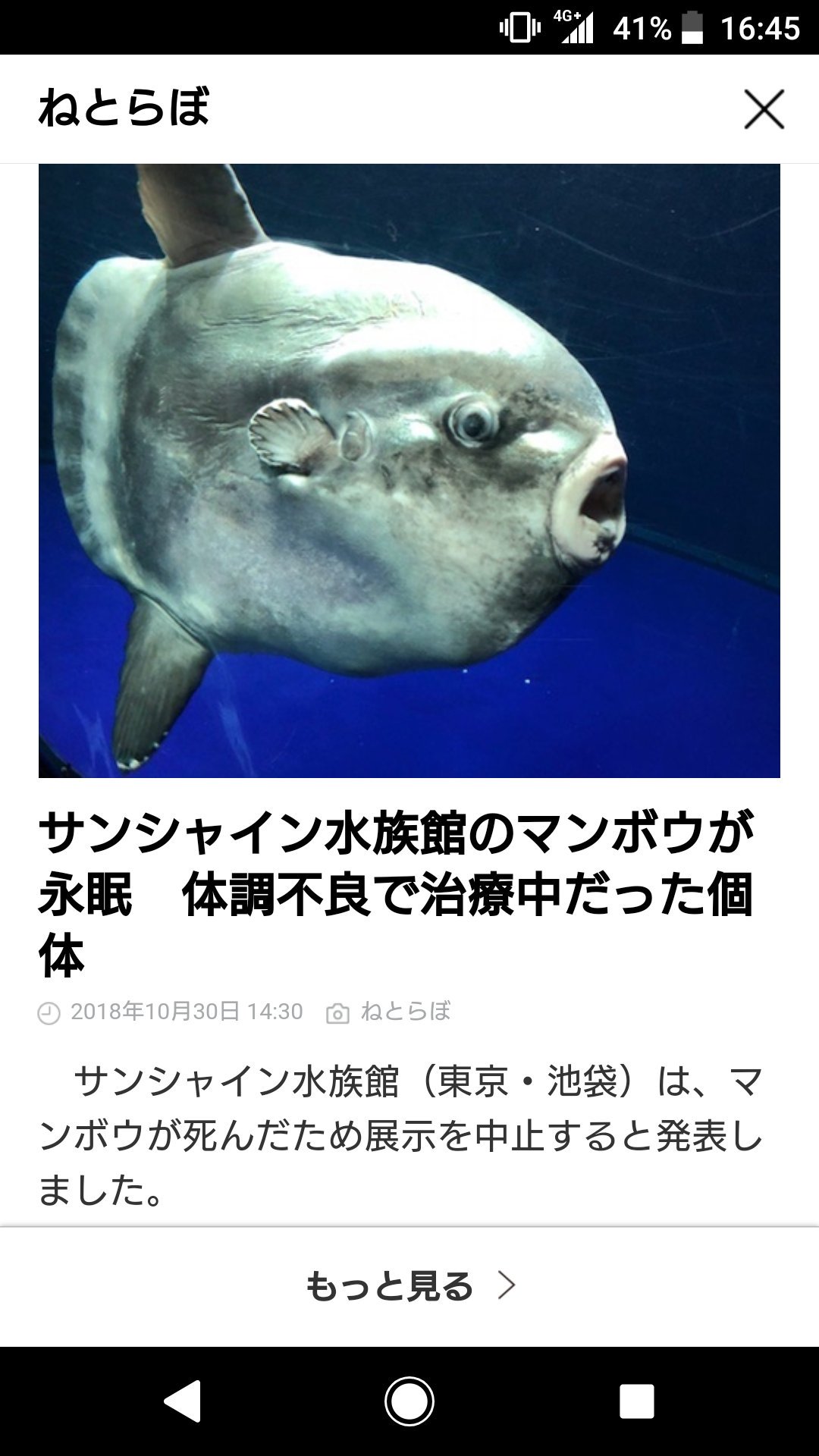 莎耶菓 え サンシャイン水族館のマンボウってあの グループの画像になってるあの