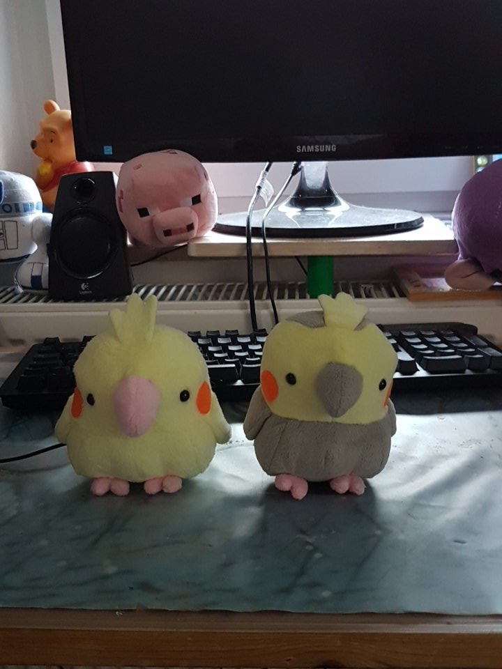 mintcrystall's tweet image. I would like to get  the #streamlabsIntel gaming Pc so I will be able to continue streaming with my Pc cause he cant handle stream + Starcraft 2 anymore and it doesnt like me casting.
Also my 2 cockatiels would love something they can conqer :W
And i would like a #1€maus caus :)