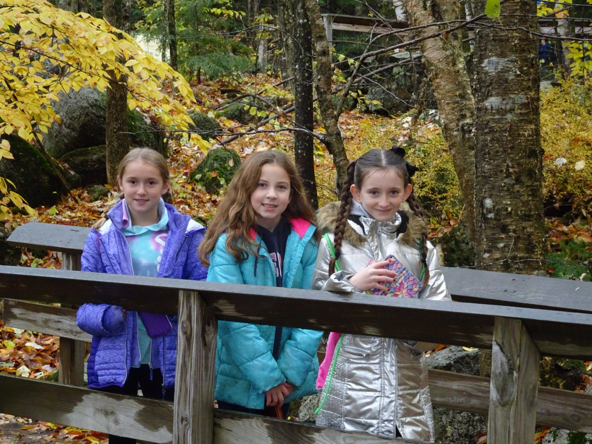 Grade5_lms's tweet photo. A rainy day in Holderness didn't wash away our fun at Squam Lake Science Center! #grade5fieldtrips #rainydayadventure https://t.co/BeN5RVPuYd