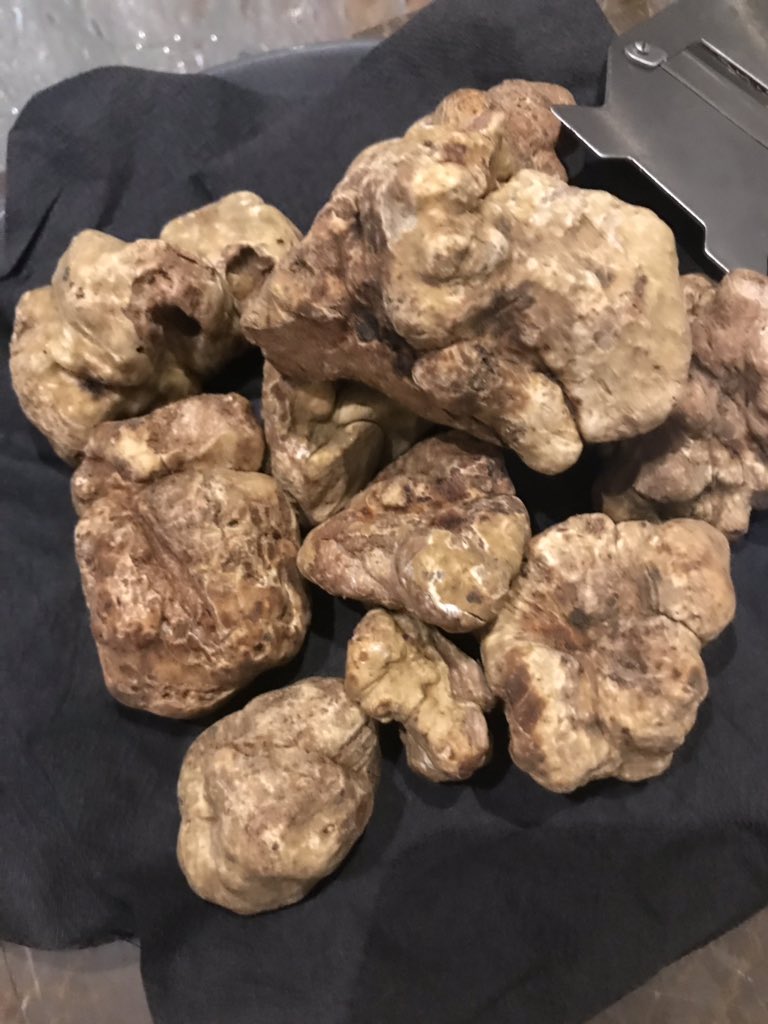 CanIEatIt's tweet photo. Sight for sore eyes.  Must be a few grand’s worth of white truffles in this dish. https://t.co/5rUbz8JzI9