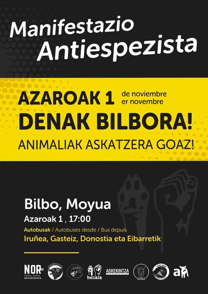 Bezala_AK's tweet photo. 📣 Recordamos que el jueves tenemos una convocatoria importante para reivindicar respeto y libertad para todos los animales.
👉 17:00h // Plaza Moyua, Bilbo https://t.co/2ltS7XVSgm