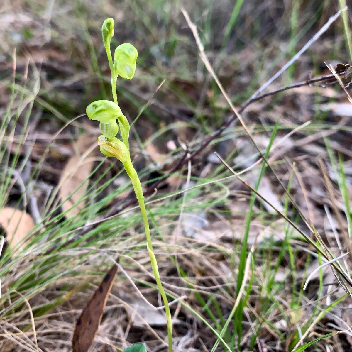 Gordon Smith tweet media