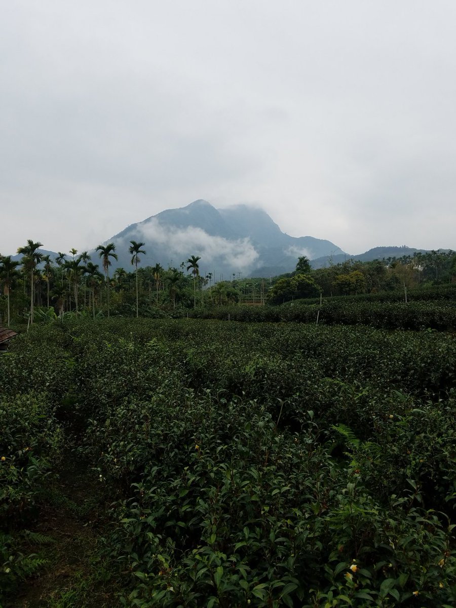 It’s all coming back to me, now. Aromatics, that is. colabcooperative.org/2018/10/30/its…