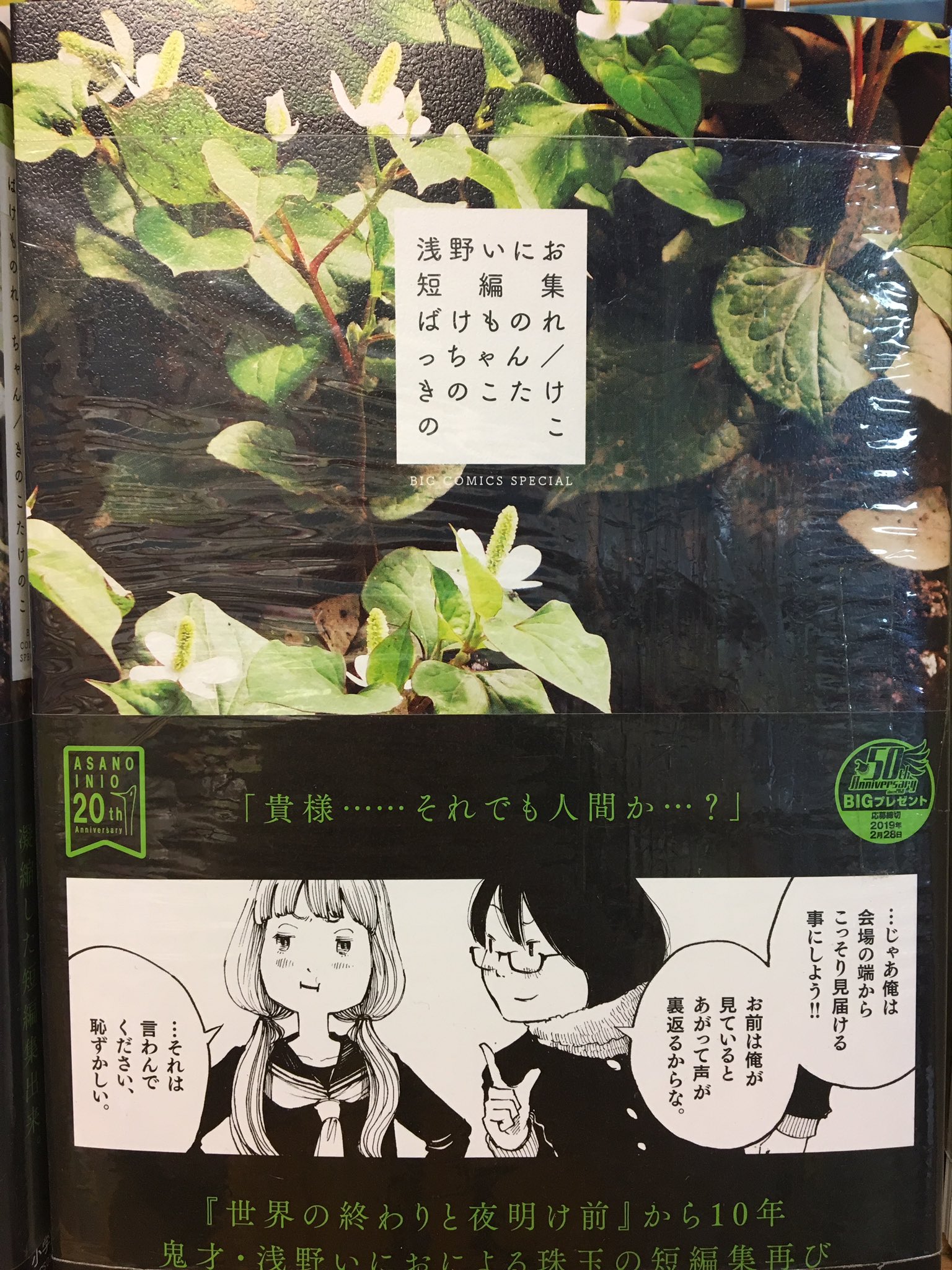 ヴィレッジヴァンガード ビックカメラ店 いにおの新刊 が 入荷 しましたー 浅野いにお短編集 ばけものれっちゃん きのこたけのこ 世界の終わりと夜明け前 から10年 分の浅野いにおを凝縮した短編集 浅野いにお