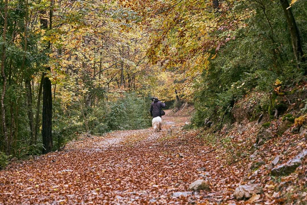 EstevePerfilPro's tweet photo. Este fin de semana probé la #EOS R de @CanonEspana en condiciones de frío y lluvia. Conociendo más la cámara para proseguir con el #EOSRTour de @Foto_K
Aviso a navegantes: este sistema (no hablo solamente de la cámara) no ha venido sólo para quedarse.... https://t.co/o1IpqavNjp