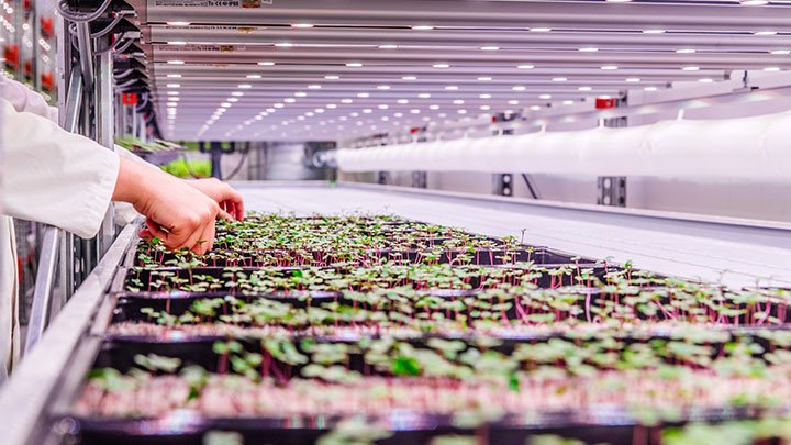 joviber's tweet photo. El primer laboratorio vertical de investigación agrícola en #Italia se llama Travaglini FarmTech y está en #Milán… ¡Ahora entendemos la frescura de sus verduras! https://t.co/jD6j7Rmfdc  #switchongrowth https://t.co/nv7NwiLn5q