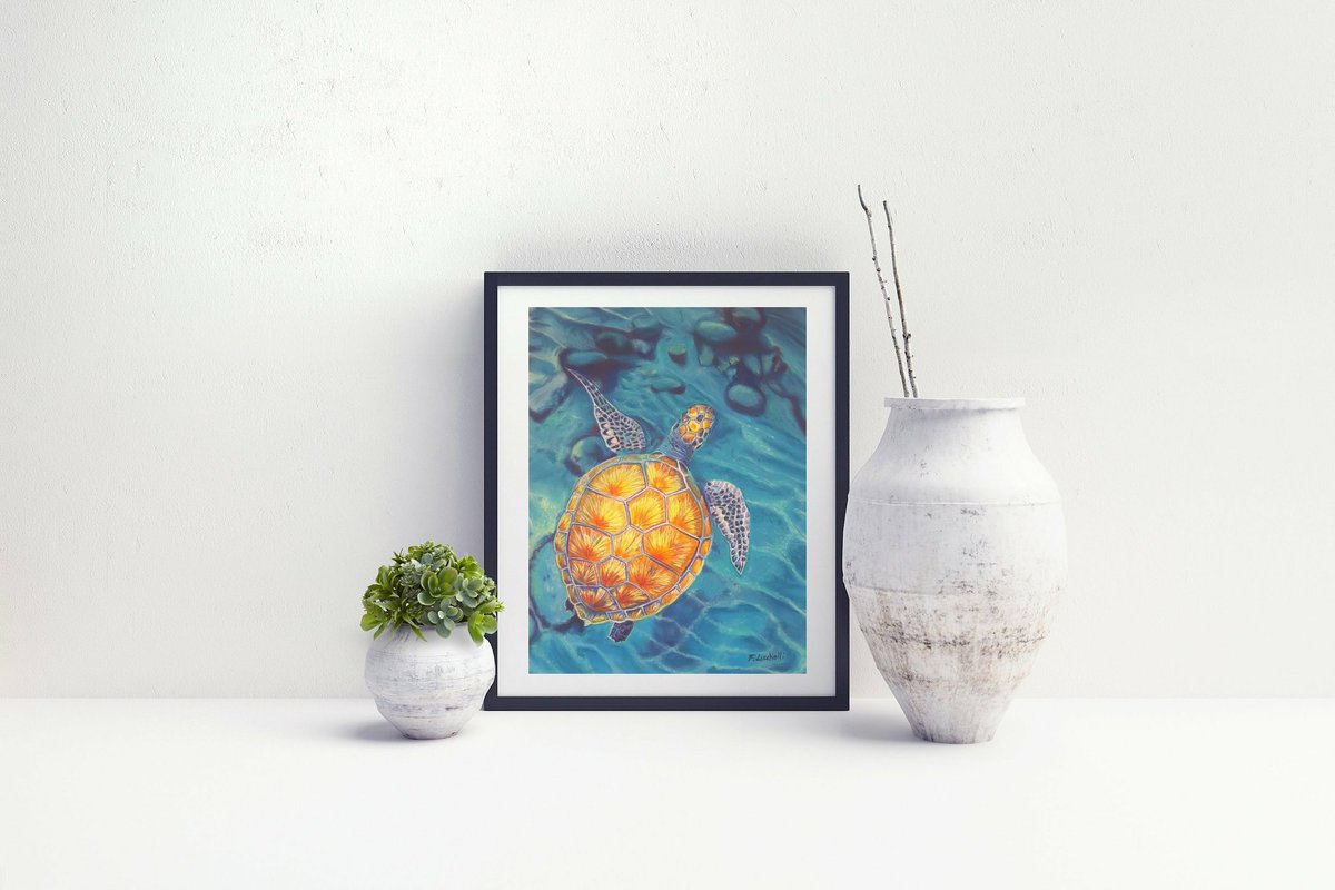 axenar's tweet photo. Tartaruga di mare, stampa giclèe, 20x25 cm, aceo, decorazione scuola sub, casa sulla spiaggia, idea regalo per appassionati snorkeling, #turtleart #beachhouse #boysbedroom #turtleprint #aceoprint #seapainting #turtlepainting #stampe #natale #christmasgift https://t.co/RQA4EaERrN https://t.co/G8WbVZiVUK