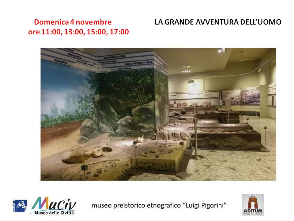 Domenica 4 novembre venite al @MuseoCivilta per le visite guidate con  Aditum Cultura #museodelleciviltà #museopigorini #aditumcultura #PaleoesEXTAD #preistoria