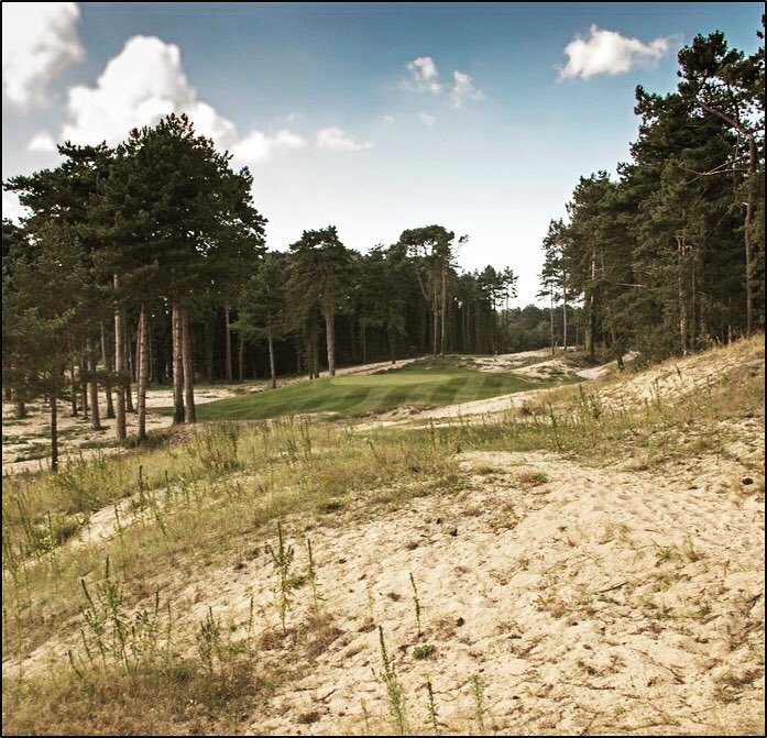 RT @GolfdHardelot: Les Pins has undergone one of Europe’s most successful renovation programs bringing the course back to its former original Simpson routing and design! Check out the work on the 17th hole ⛳️😍 #golfcoursearchitecture #top100golfcourse
