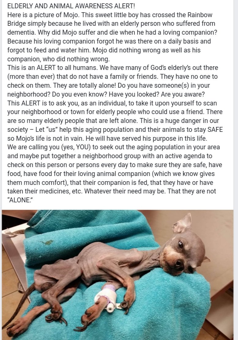 AnetaMes's tweet photo. Stay vigilant, if your neighbours give you reasons for concern, react! Check, ask. Innocents suffer when we remain indifferent. 😢 https://t.co/3JZyyooO1b