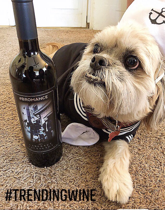 EqualityWine's tweet photo. #Follow @TrendingWine - #NextGeneration 📲#Viral #lifestyle Wines!🍷by @TrendingWine 
#TrendingWine A Huballoo Inc.
Leaders of ~
"The New Old-School"

https://t.co/NSPccjMJ9y
#BromanceWine #dog
#Wine #BayArea #Oakland #China
#Entrepreneur #entertainment 
#Marketing  #NapaValley https://t.co/ezfMcNNt2E