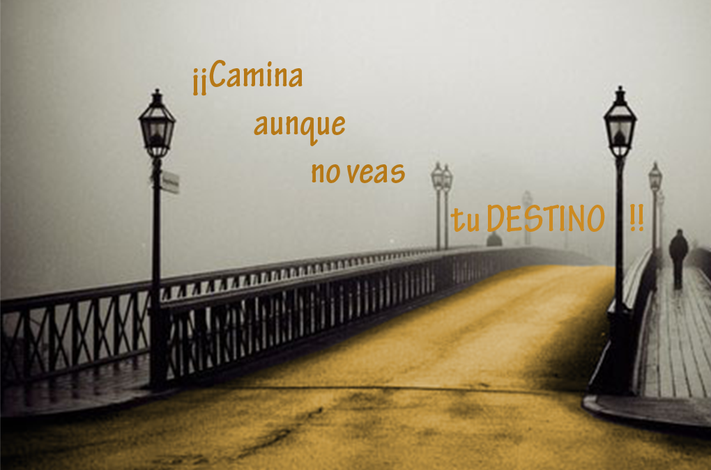 PiniataforYou's tweet photo. ¡¡Camina siempre camina!!

#camina #autoestima #motivacion https://t.co/EGN14FIsN5