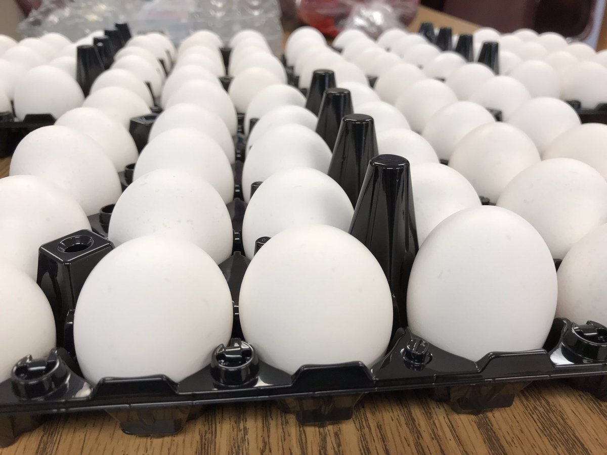 york_engineers's tweet image. Getting ready for the big challenge!! #engineeringgrandchallenges #eggberthelmets #saveeggbert Helmets are due 10/31 at 9:30!  We will beginning testing as soon as school starts! @YorkESBulldogs @WCPSS 1st SCHOOLWIDE STEM CHALLENGE...
