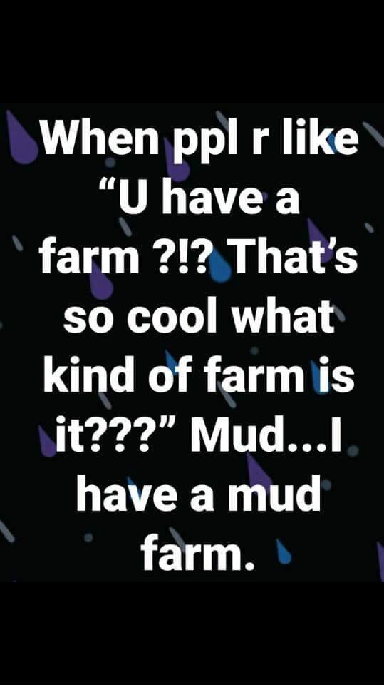 Morgan tweet media