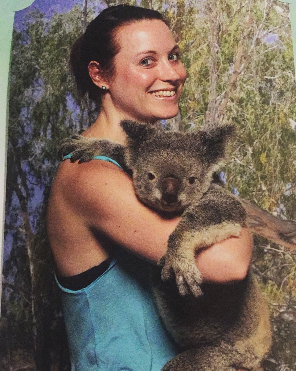 EDennis1986's tweet photo. Yes!!!! #australia #cairns #kuranda #koala #koalagardens https://t.co/uXso8GHv0P