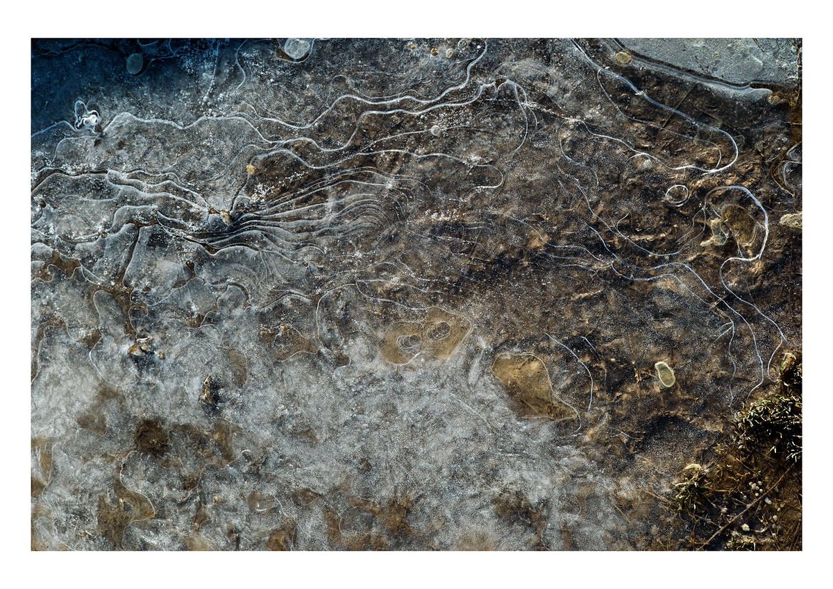 johnny rath (@mojohnny) | Twitter