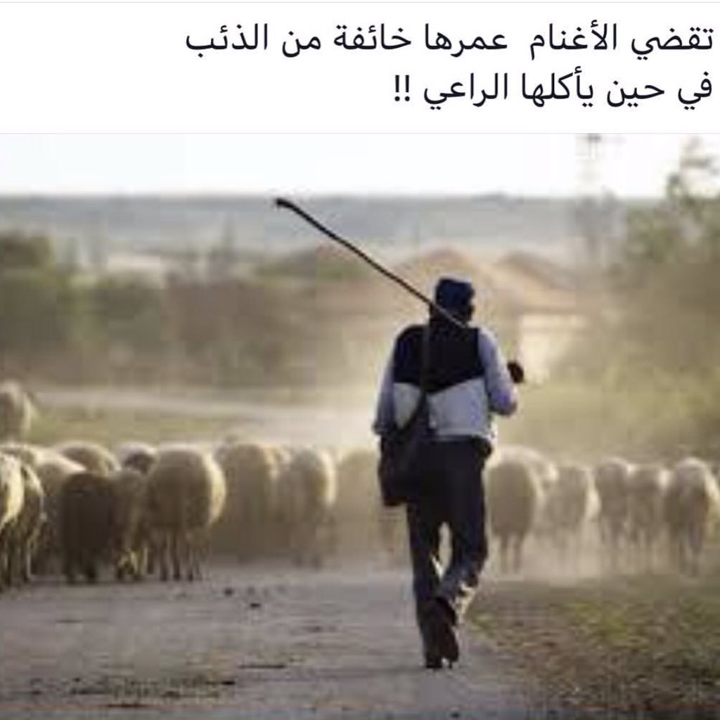 ♣يّوٌسّفُ الزيرجاوي♣ (@so_so133) on Twitter photo 