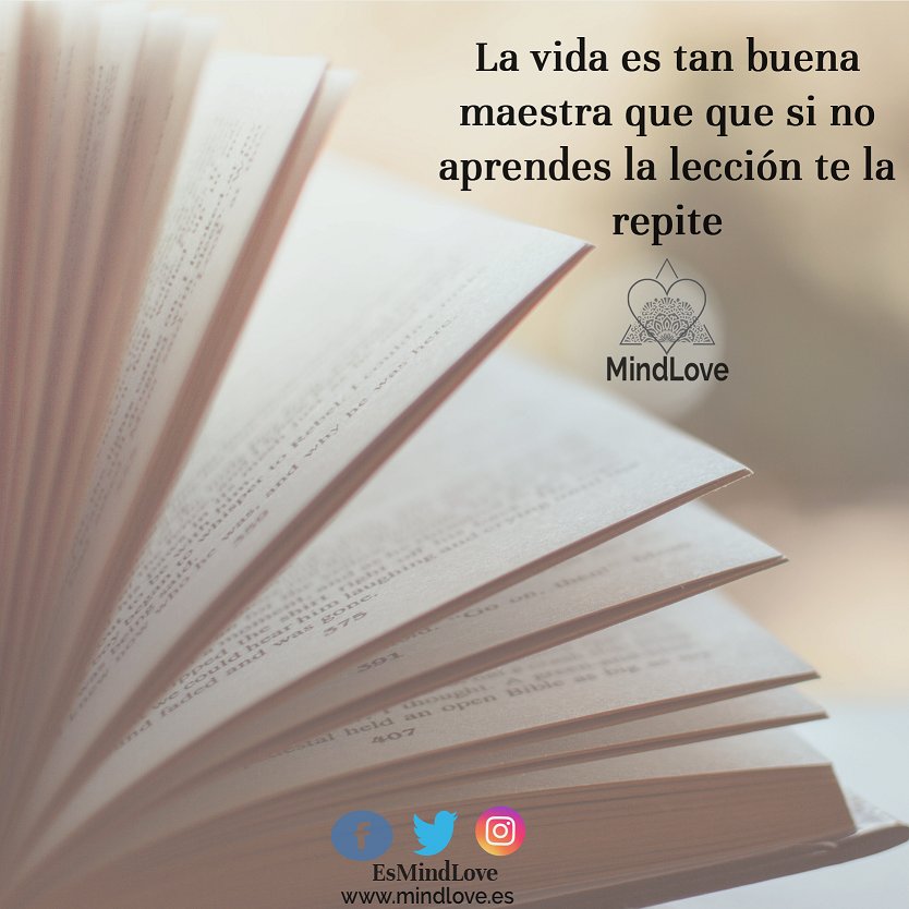 EsMindLove's tweet photo. La vida te repetirá la misma lección hasta que la aprendas.

 #MindLove #MindLovers #EstadoMindLove #TuMejorVersion #Mindfulness #Mindfulnessmoments #meditating #meditate #Entraenti https://t.co/u1YZdjgFdT