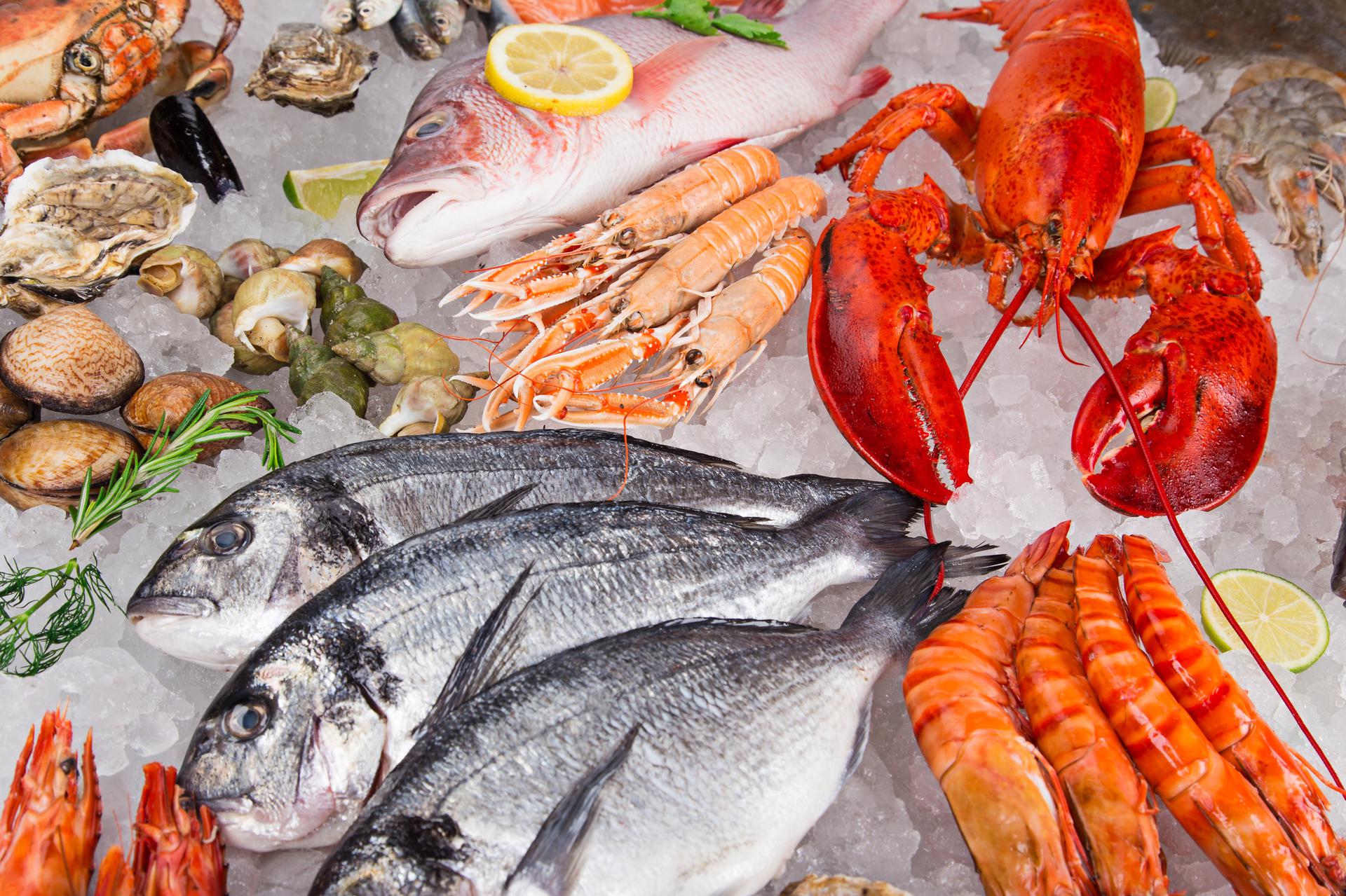  تناول المأكولات البحرية بانتظام تقي من “الشيخوخة السيئة” DqwLY0TW4AExXKJ