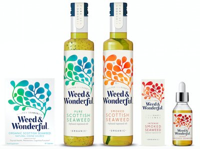 DoctorSeaweed's tweet photo. Our beautiful Weed &amp; Wonderful range have been nominated for 'Branding project of the year' at the #UKPackagingAwards tonight!!! @PackNews Wish us luck https://t.co/jgPNjj6VXC https://t.co/CSRzQHs9rk