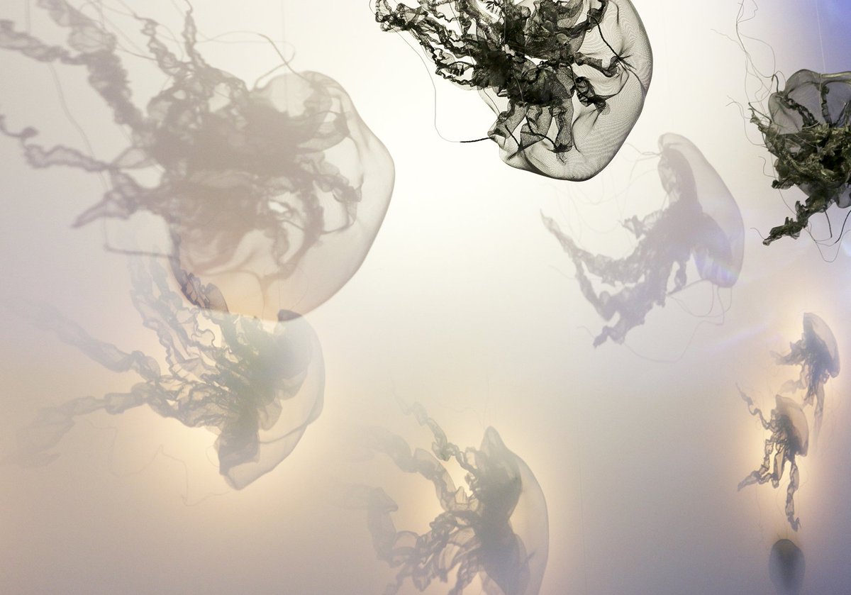 Everything about this is perfection

#artwork #ibizaart #Ibiza