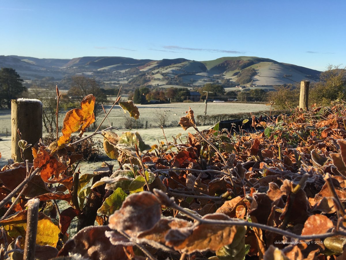Frosty morn ❄️ #wales #thewalescollective #visitwales #frosty #morning #sunrise #countryside #autumn #Autumnwatch #October #landscape #hedgerows #leaves #mountains #farmlife #welshlife #nature #naturelover #landscapelover #outdoors #freshair #scenic #view