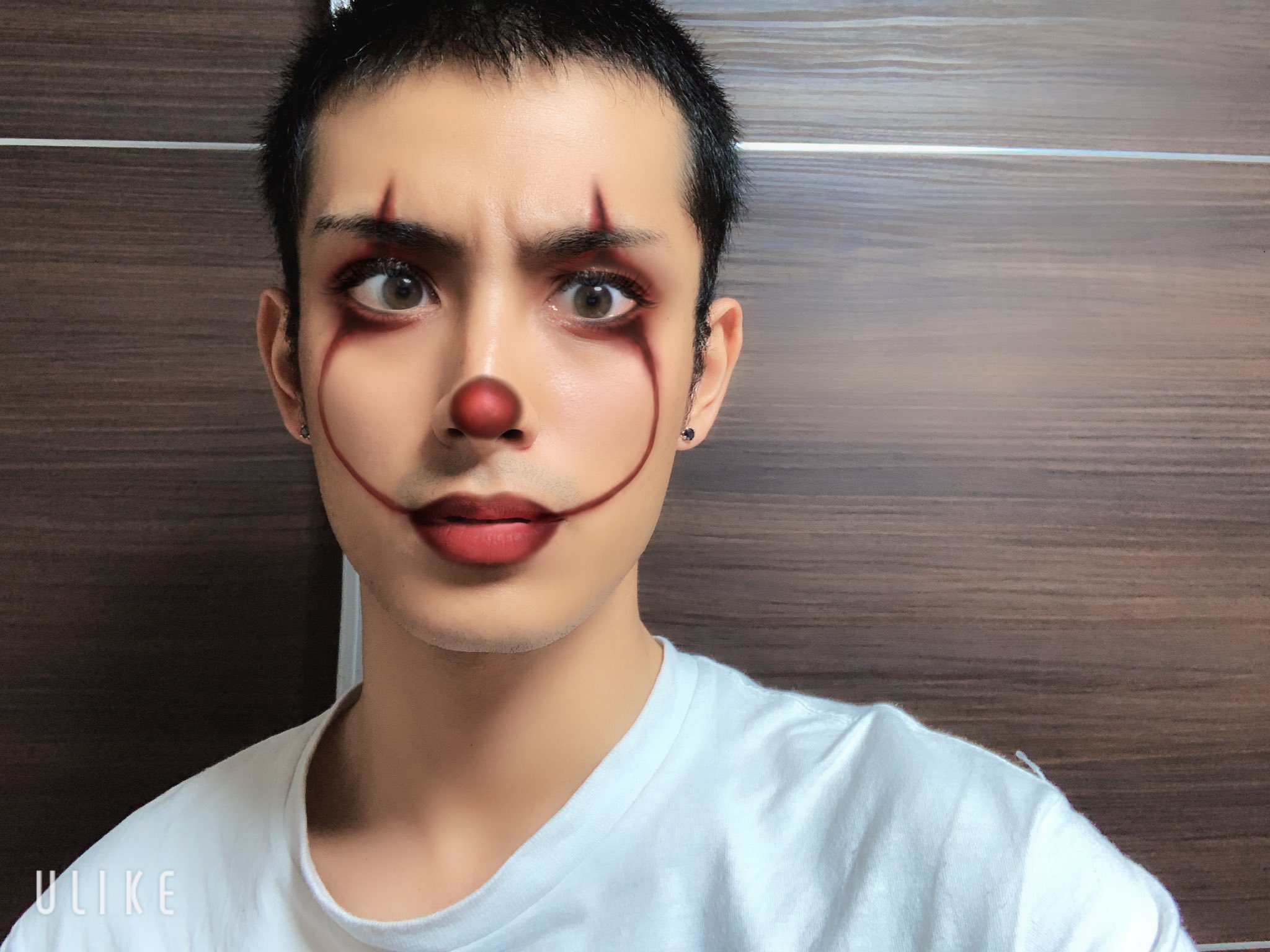 武子直輝 今流行りの写真加工アプリでハロウィンメイク ついでにイリオモテヤマネコ T Co Mqe8capyer Twitter