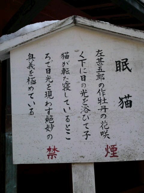 眠猫 眠猫