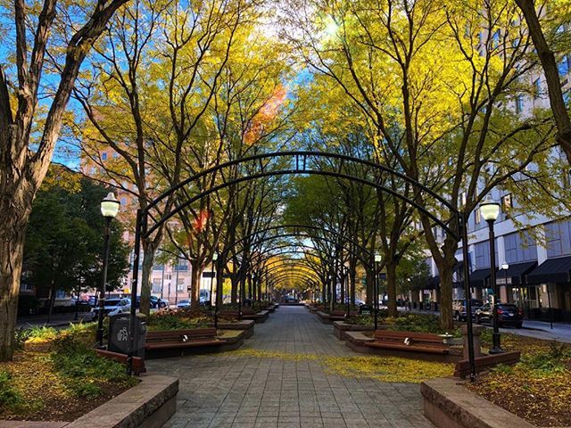 elum03's tweet photo. Cincinnati's oldest park ⠀⠀ #cincishooters #cincinnatisimo #igerscincinnati #cincygram #cincinnati #instagram #igers #picoftheday #follow #love #followback #socialsteeze #photooftheday #smile #20likes #bestoftheday #f4f #l4l #comment #travel #iprevie… https://t.co/qEo5fMyfDU https://t.co/1Et5fSCmHU