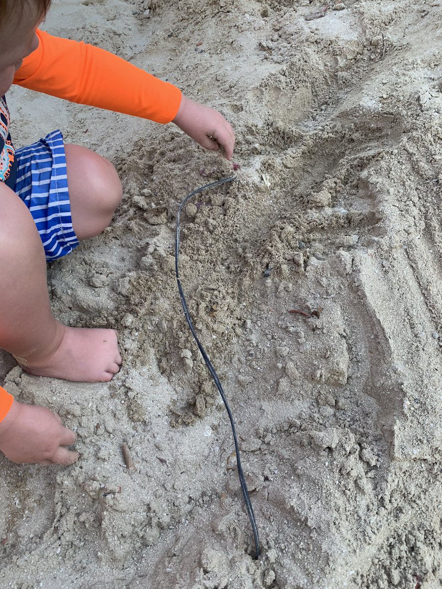 Exposed electrical cables in the kids playground <a href="/ATLANTIS/">Atlantis Dubai</a> ☹️