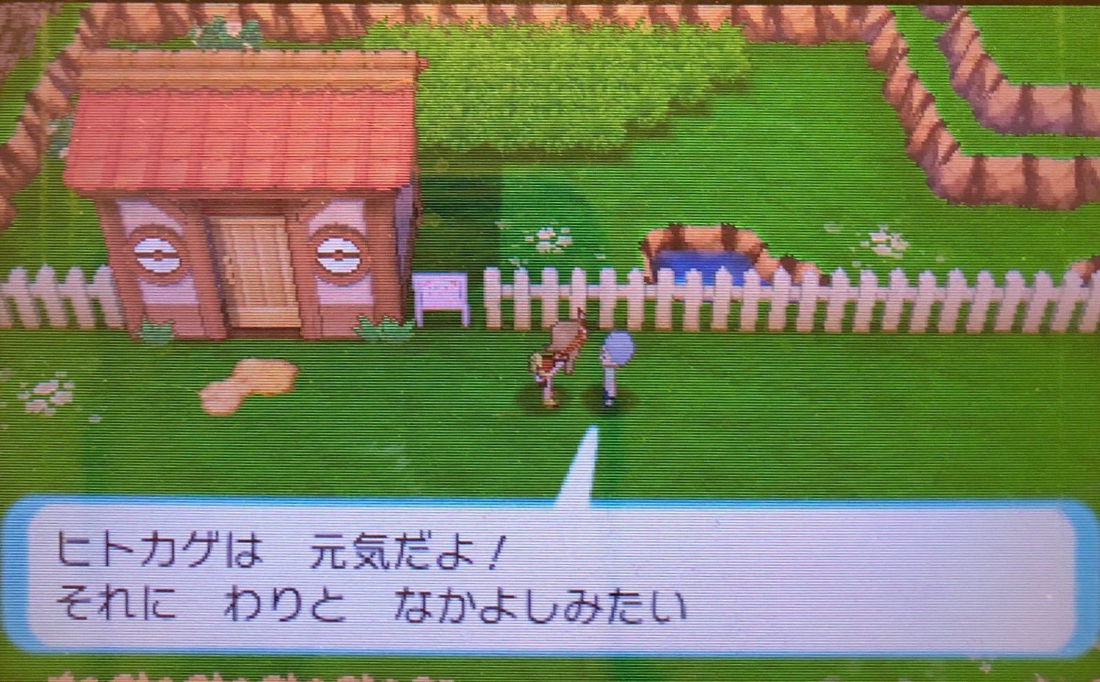 スラヨシ ポケダン空のネタバレしないでね Twitter પર ヒトカゲとメタモンもわりと仲良し T Co 7jovzklvaq Twitter