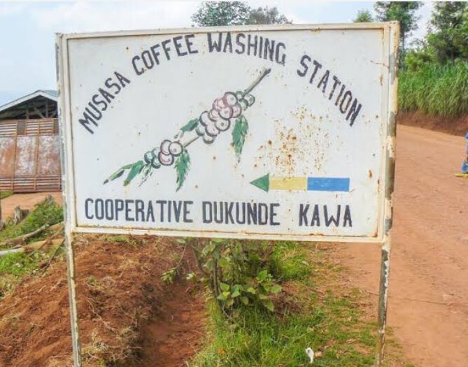 doriane_kaze's tweet image. Meet Dukunde Kawa Musasa, Rwanda:Enabling 1400+ Farmers to double their Income.The Cooperative reminds us that coffee is also about changing the farmers’ lives. @QuestionCoffee @rwashoscco @RoyalCoffee @RwandAgriExport @SCASA_Coffee 
#AFCA2019 #visitrwanda
