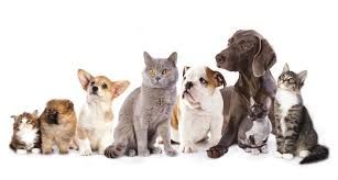 Hurry up and take the picture . . .  we can stay still much longer!