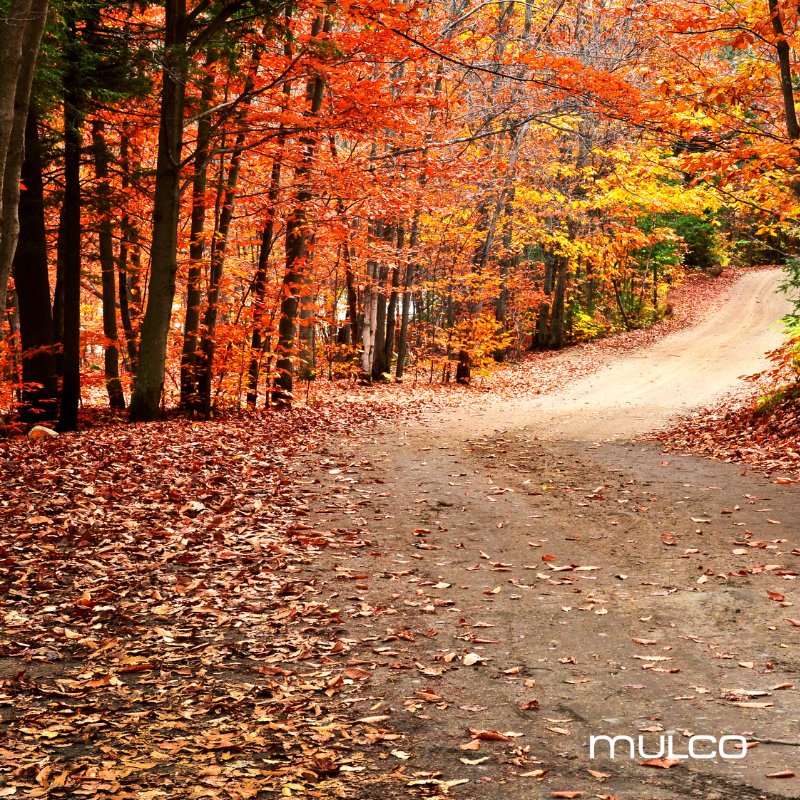 MulcoSpain's tweet photo. Otoño Encantador &amp; Elegante 🍂🍁
 https://t.co/cag24yv3s7 https://t.co/eEIg6jEef2