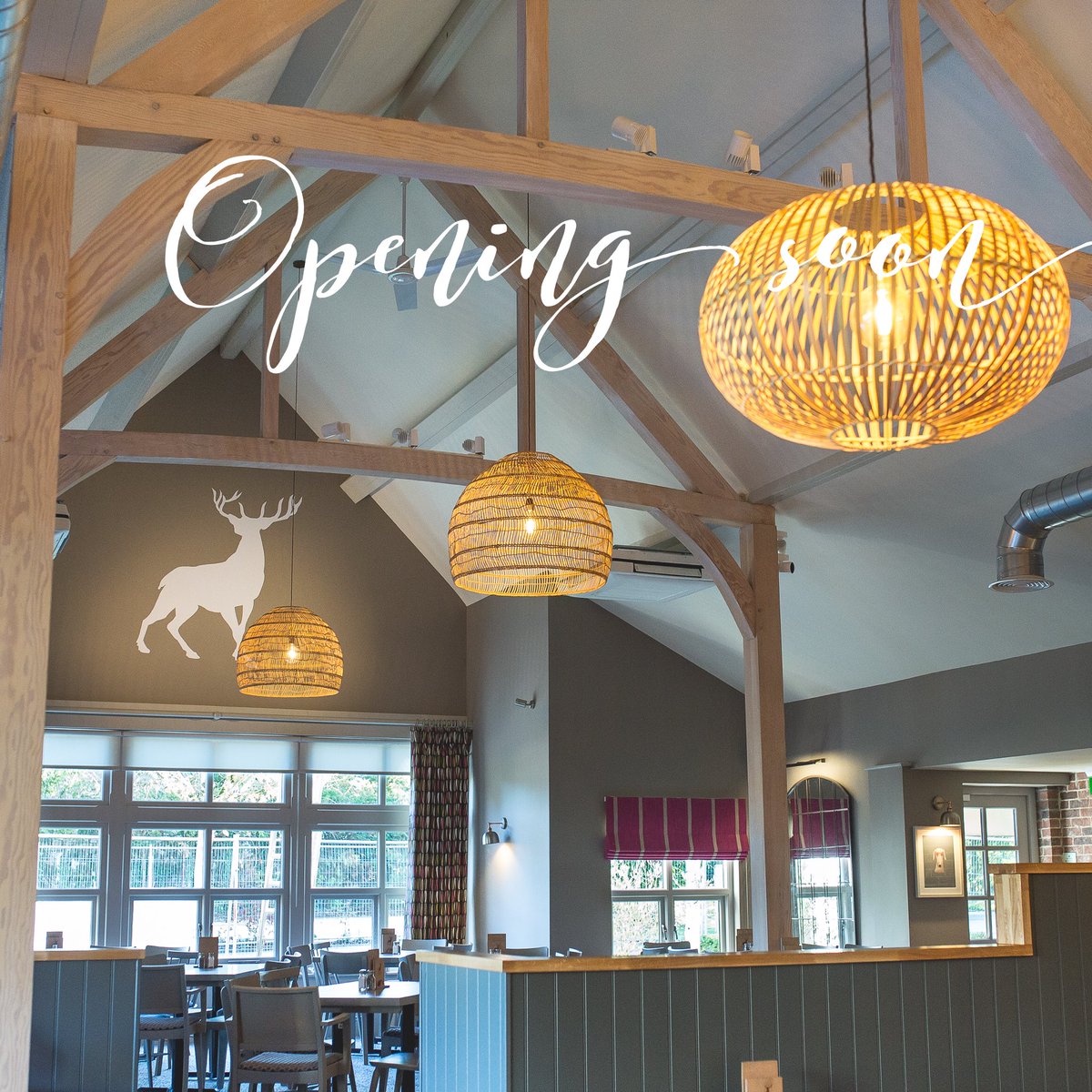Breckland Lodge tweet media