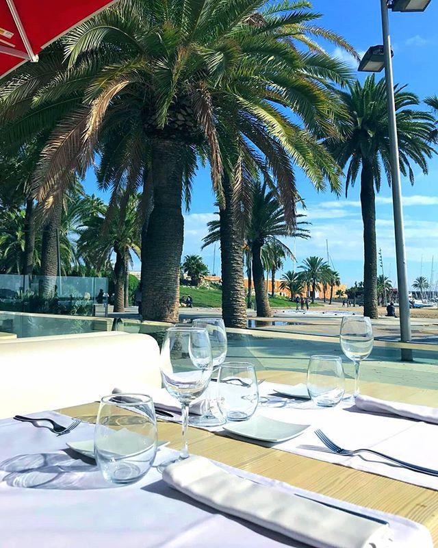 Paradise on earth!!!🔝🍒✨ Don't hesitate too long and come over to taste the best mediterranean food by the beach
.
.
.
#barcelonaeats #pachabarcelona #afternoonpacha #fecstime #bcngourmet #bcnfood #foodinbcn #gastronomybcn #barcelonalovers  #barcelonaeats #comidagourmet #cata…