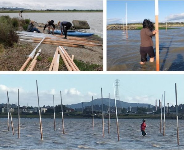 Toolkit Feature: Sea Leveling Rods (Home Team)

@mithun_hometeam_rbd created these sea leveling that visualizes the effects of climate change by relating projected sea levels with a familiar place. Learn more at resilientbayarea.org/toolkit.

#resilientbay