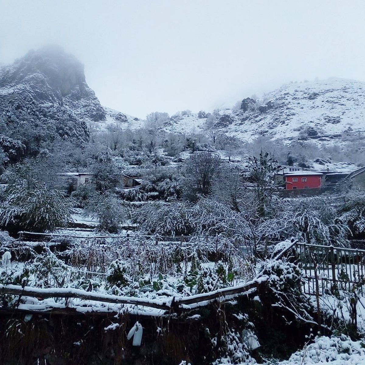 Vivobox's tweet photo. En sólo 30 días #Asturias ha vivido las 4 estaciones del año 🔝

#Naturaleza #Montaña #Rural #Vivobox #Experiencias https://t.co/dDPjKVp8T6