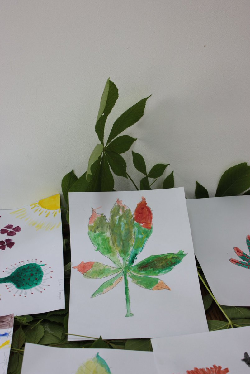 iteachlikethis's tweet photo. Stay with us this week. Tomorrow we will explain why the workshops lasted 3 hours and we will describe the first part of the workshop (walking through the garden) :)
#ITeachLikeThis #botanicarumetnik #botany #art #historyofbotany https://t.co/biItdEJJfD