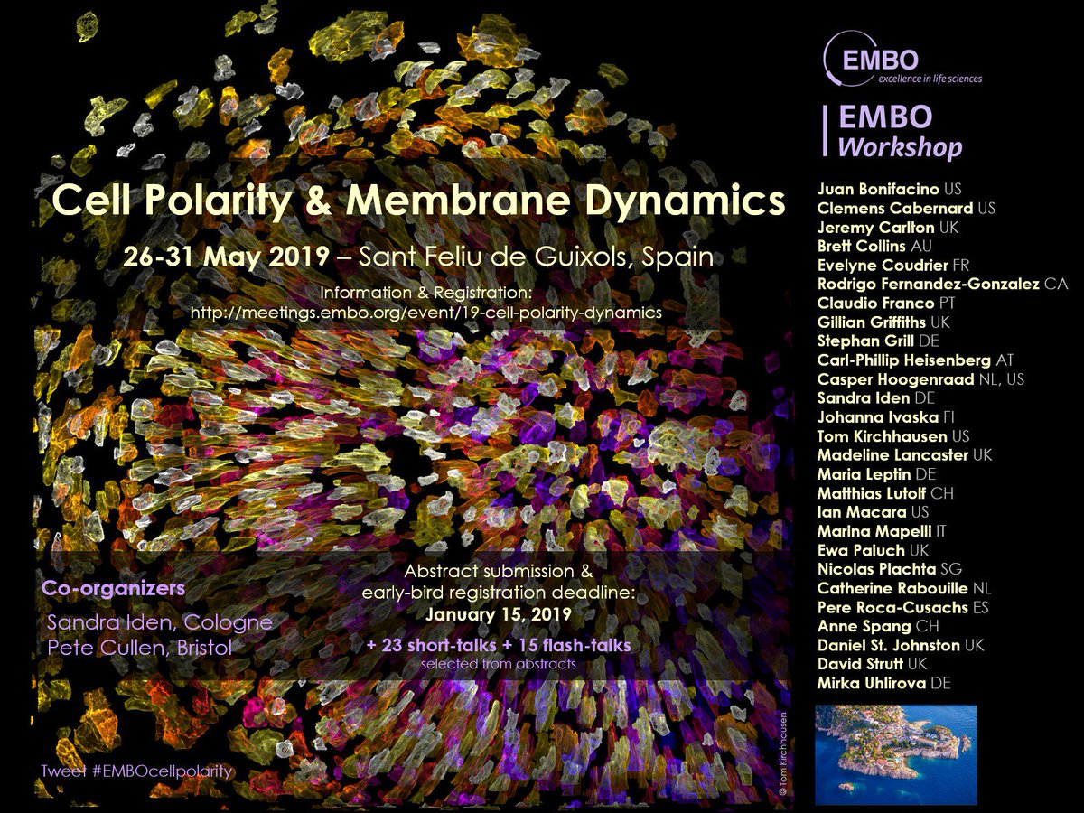 Registration is now open! EMBO Workshop Cell Polarity &amp; Membrane Dynamics, May 26-31, 2019, Sant Feliu de Guixols, Spain. Abstract &amp; early-bird registration deadline Jan. 15, 2019, meetings.embo.org/event/19-cell-… 
#EMBOcellpolarity #cellpolarity