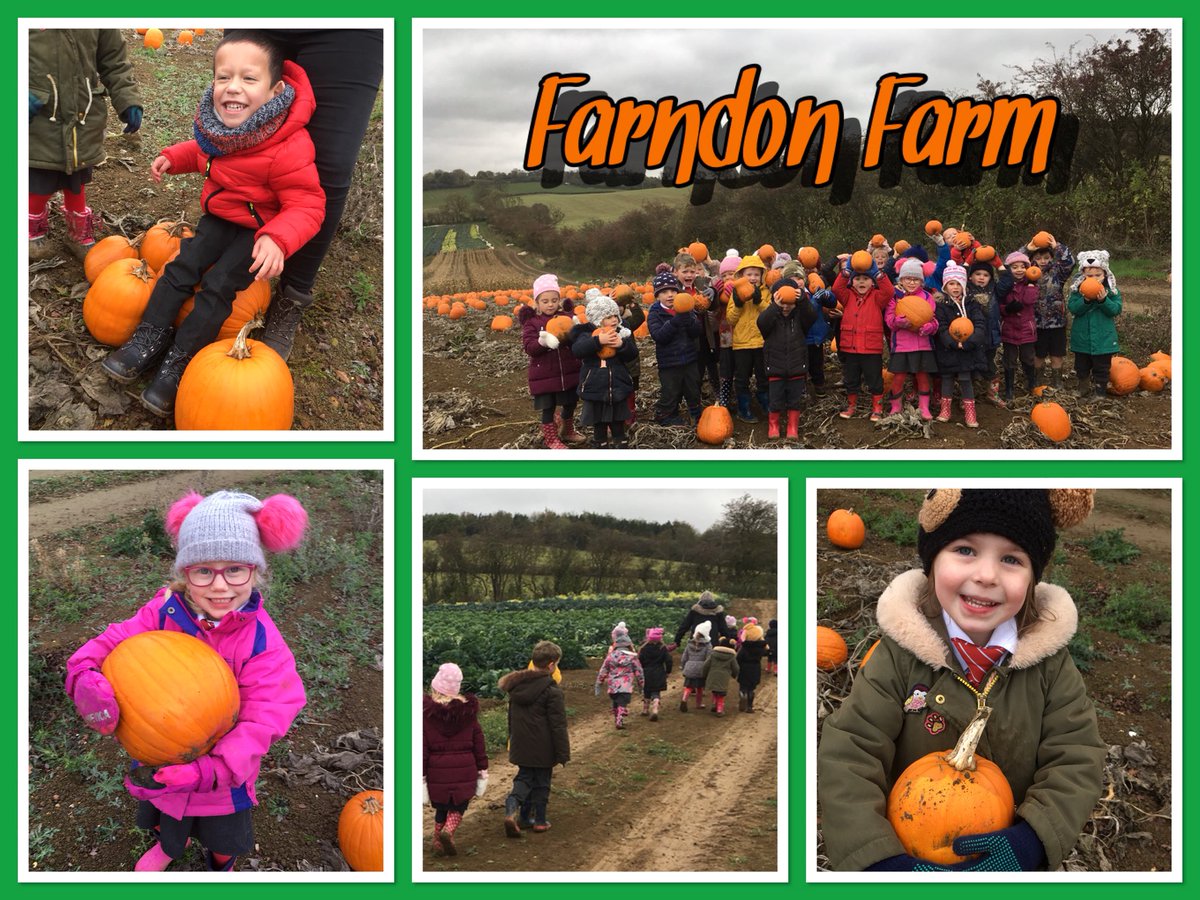 ClipstonSchool's tweet photo. Owl class enjoyed a FANTASTIC class trip to @FarndonFieldsFS Farm this morning. We met noisy piggies, saw tons of growing veggies and picked our own pumpkins. Thank you so much Nicola for a brilliant morning and for teaching us lots about farming ๐๐ผ๐ค #farndonfields #pumpkin https://t.co/O8NWMjzIOg
