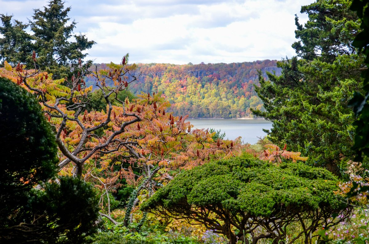 EinsteinMed's tweet photo. A gorgeous view here in #TheBronx #Riverdale : Cast your ballot November 6, then reward yourself with a visit to Wave Hill—admission will be free all day long, just in time for peak fall foliage. Leaf-peeping, anyone? 🍂🍁
#FallatWaveHill https://t.co/RMeTEzwrp6