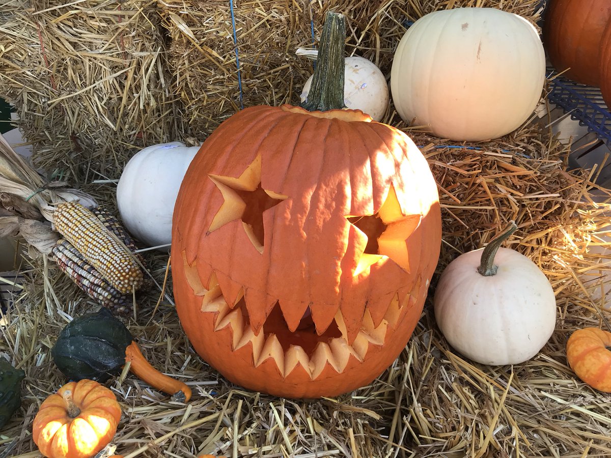 DavisTradingP's tweet photo. Happy Halloween! https://t.co/mtEUVaf4jy