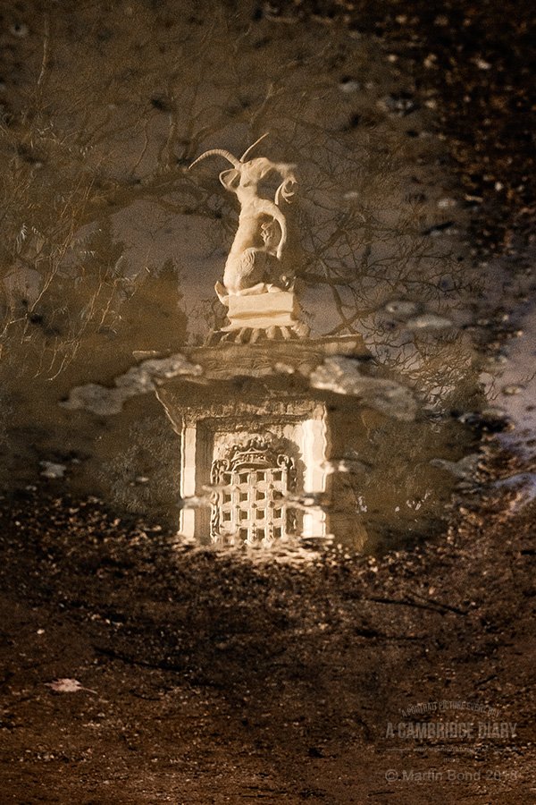 It's nearly halloween so here's a mythical beast for you all - it's called a Yale and there's two on Kitchen Bridge <a href="/stjohnscam/">St John's College, Cambridge</a>. They have elephants' tails, antelopes' bodies and goats' heads, with horns which can swivel from back to front - which is nice. (No 3127)