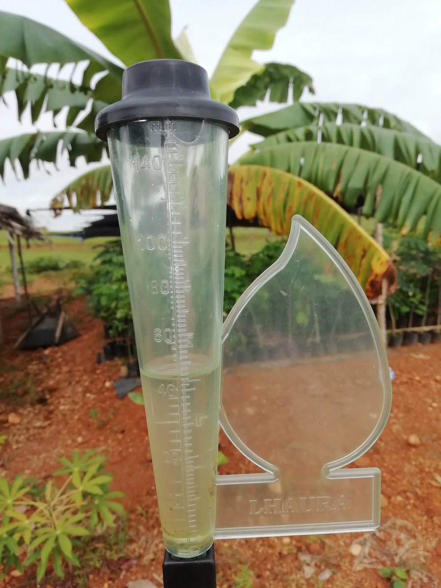 RealEdwortu's tweet image. @IDEAMColombia #margento #Caucasia mañana nublada 1800 pies 25°c @siatamedellin @DapardAntioquia #laboratoriodetecnologiaslimpias @VRI_UN