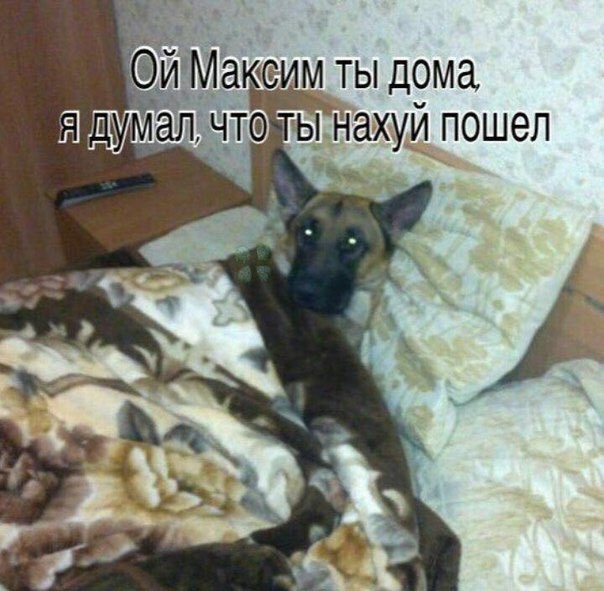 Dqwu5yRWwAAXhjm.jpg