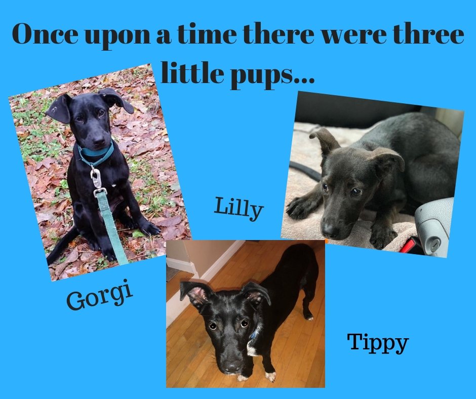 Can you finish this story with a happy ending?