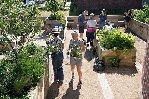The Fenham Pocket Park, led by researchers <a href="/ATardiveau/">armelle tardiveau</a> and <a href="/danielmallo_ncl/">Daniel Mallo</a> continues to inspire local community change and progress ow.ly/c0Bo30mqvle